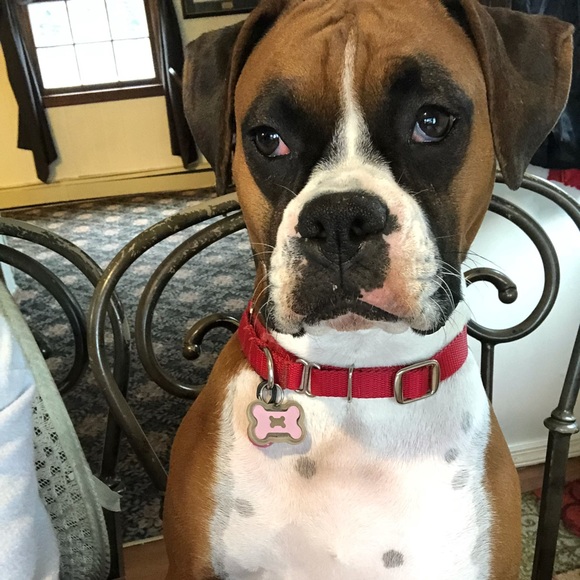 MAKE ME AN OFFER. We’re ALL WINNERS. !!👍😉👚👕👗🩱👙👠🥿🩴🥻👘🥾🧤👒🩳🥻🐶🐾💕 - Picture 10 of 16